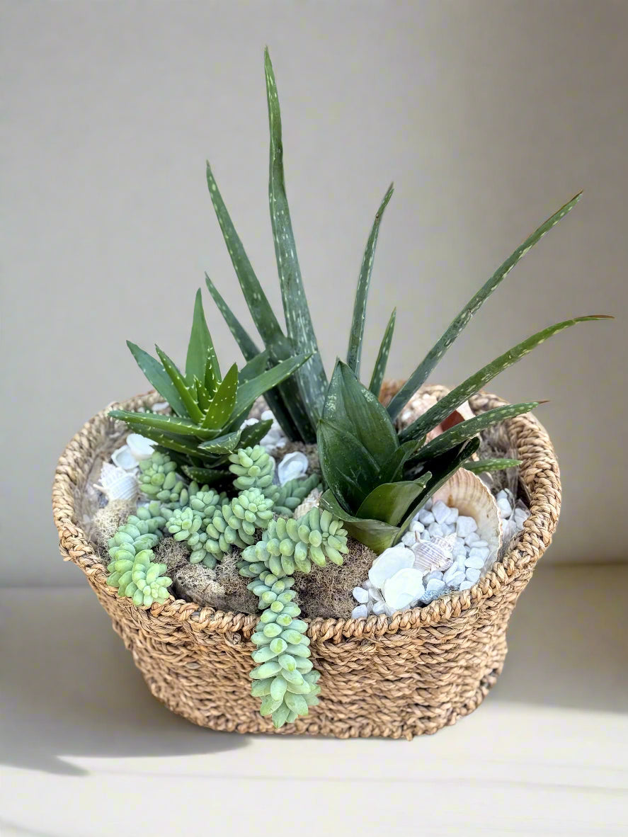 Decorative pot with succulents and pebbles on a wooden surface