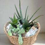 Decorative pot with succulents and pebbles on a wooden surface
