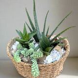 Decorative pot with succulents and pebbles on a wooden surface