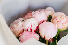 Load image into Gallery viewer, Peony Bouquet 𝘧𝘳𝘰𝘮: