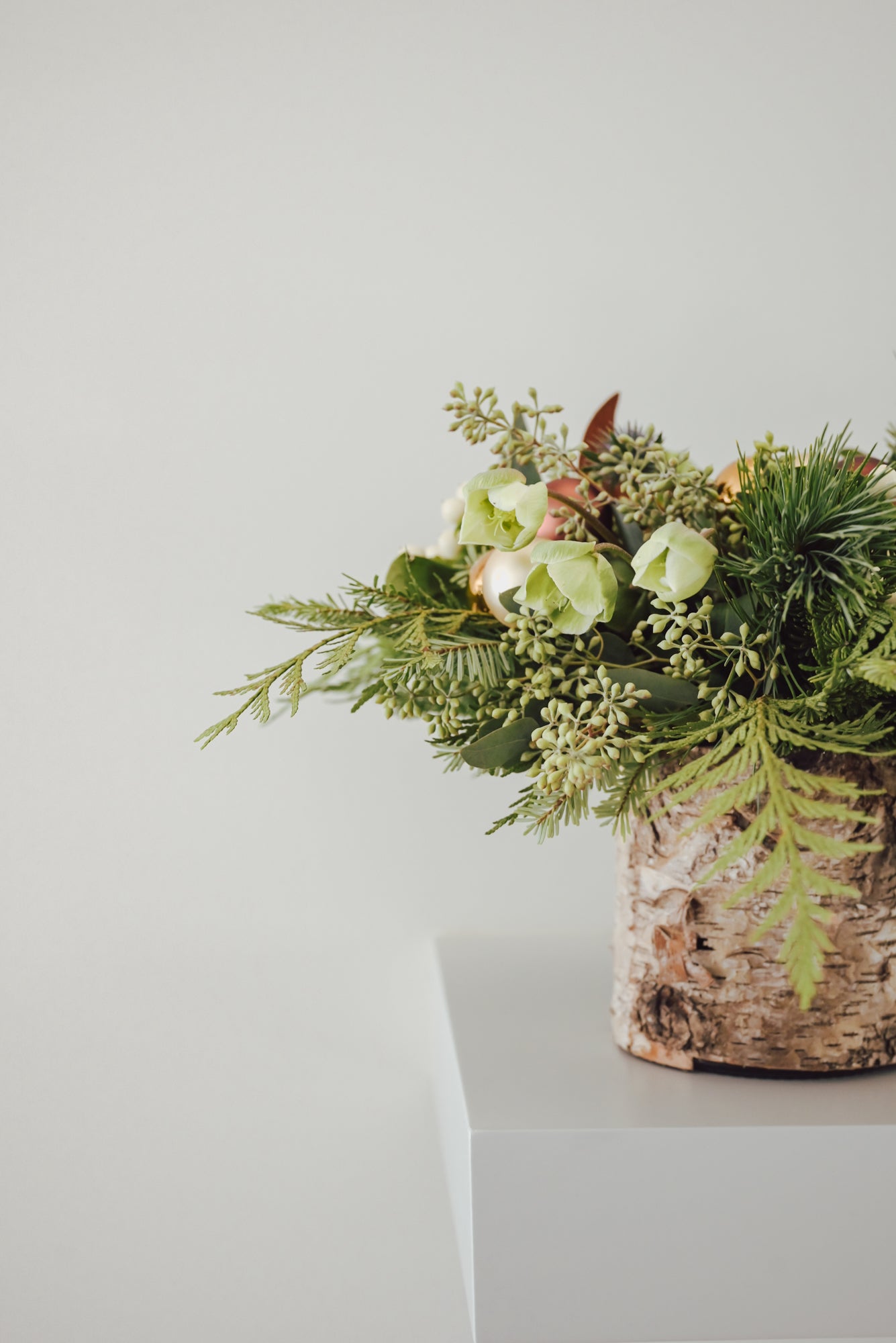 The Cozy Winter Collection