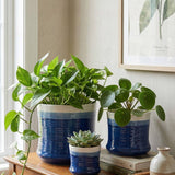 Blue Selene Pot