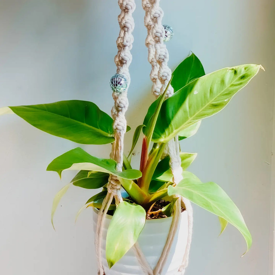 Disco Ball Macrame Plant Hanger