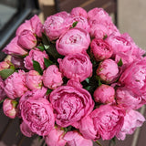 Peony Dream Bouquet
