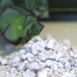 Coarse Perlite - Maya Growing Mediums