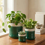 Thalia Green/White Pot