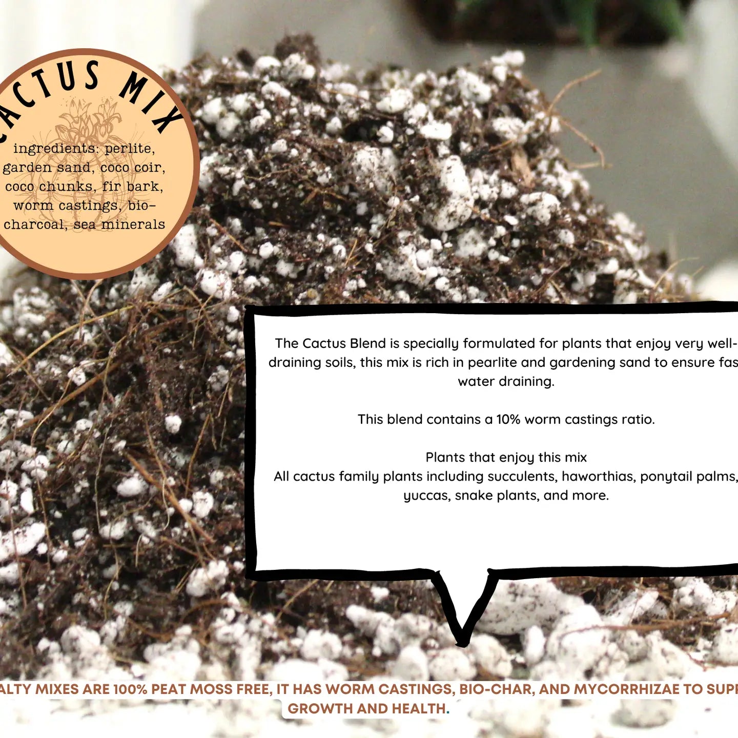 charcoal in cactus soil Cactus Blend Potting Soil