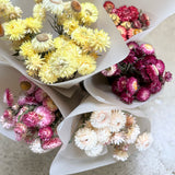 Strawflower Bunch