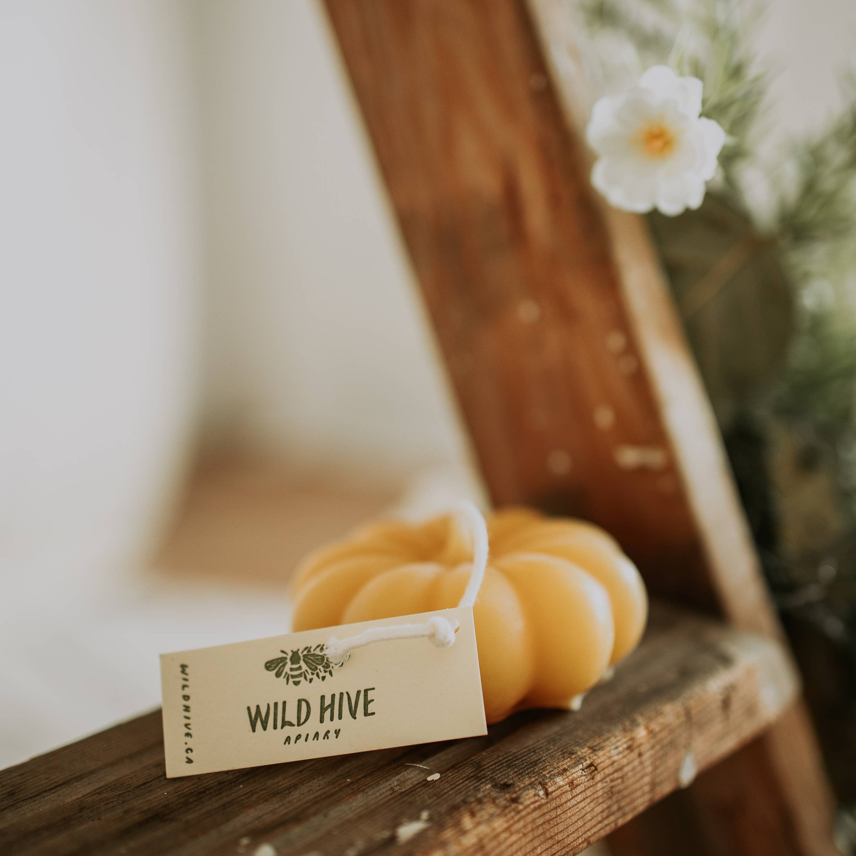 Harvest Pumpkin Candles