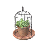 Wire Dome with Saucer