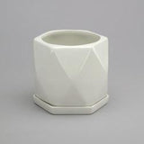 White Hexagon Pot with Saucer