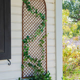 ARCH TRELLIS 6'