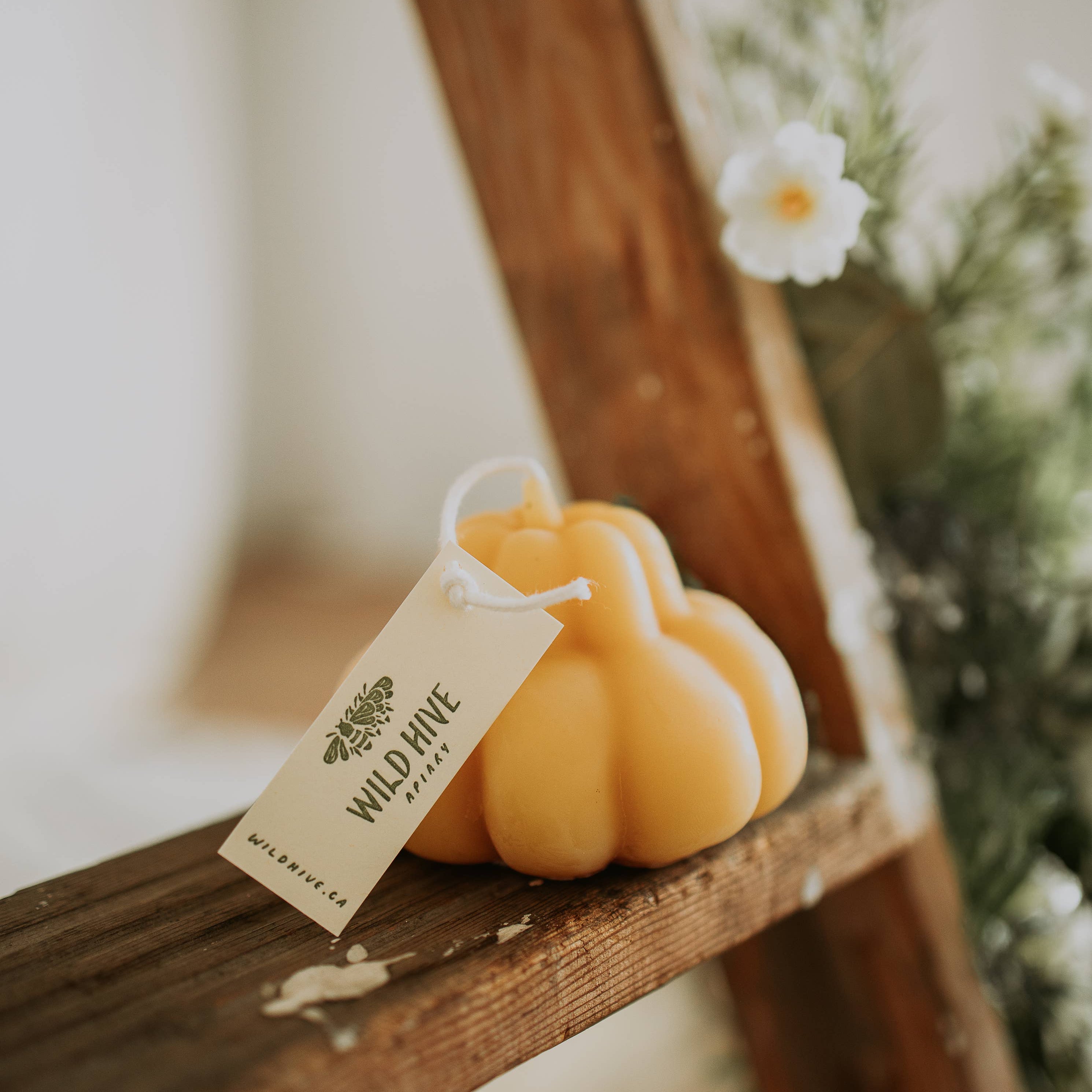 Harvest Pumpkin Candles