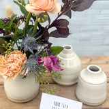 Botanica + 𝖡𝗋𝗎𝗇𝗈 𝖡𝖾𝗅𝗅𝗈𝗐𝗌 𝖢𝖾𝗋𝖺𝗆𝗂𝖼𝗌