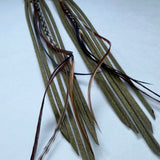 Stay Wild - Leather & Feather Frame Earrings