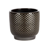 Black Scallop Pot