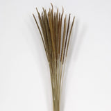 Natural Dried Feather Grass Bunches