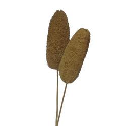 Natural Dried Luffa Pod Bamboo Pick