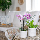 White Ceramic Pot with Bubbles