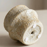 Solene Textured Planter