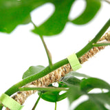 The Original Bendable Coir Pole - 16”