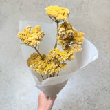 Natural Yarrow Bunches