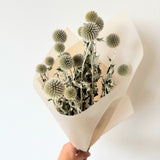 Globe Thistle Bunch