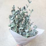 Dried Eucalyptus Bunches