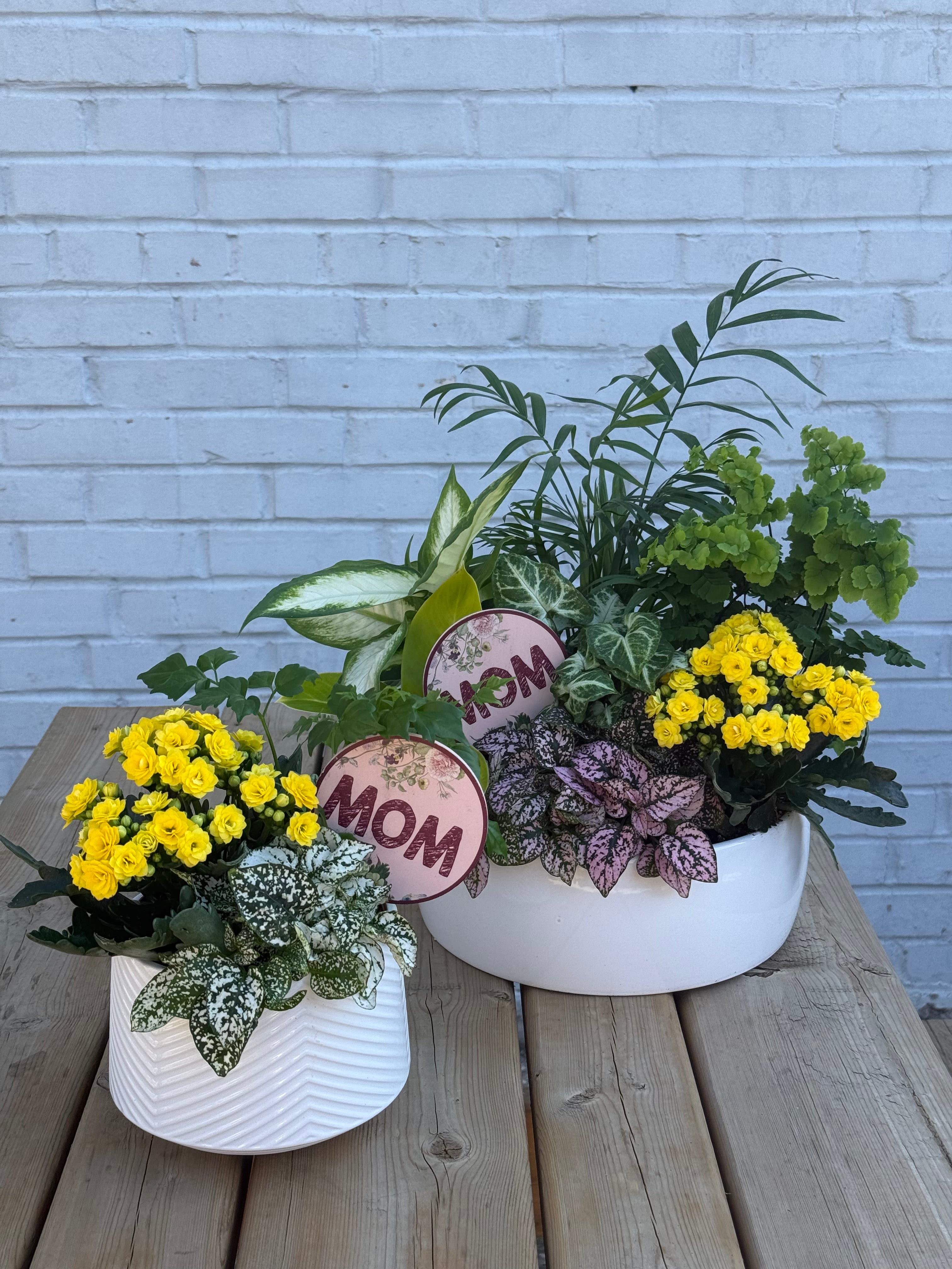 Flourish + Bloom Plant Arrangements – TwinFlower Studio