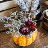 Mini Pumpkin