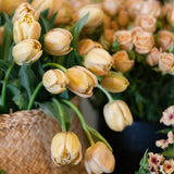 Cut Flower Bouquet Subscription