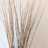 Natural Elephant Reed Bunches