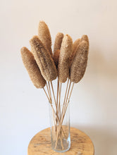 Load image into Gallery viewer, Natural Dried Luffa Pod Bamboo Pick