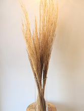Load image into Gallery viewer, Natural Dried Feather Grass Bunches