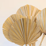 Natural Dried Rounded Palm Leaf Spear