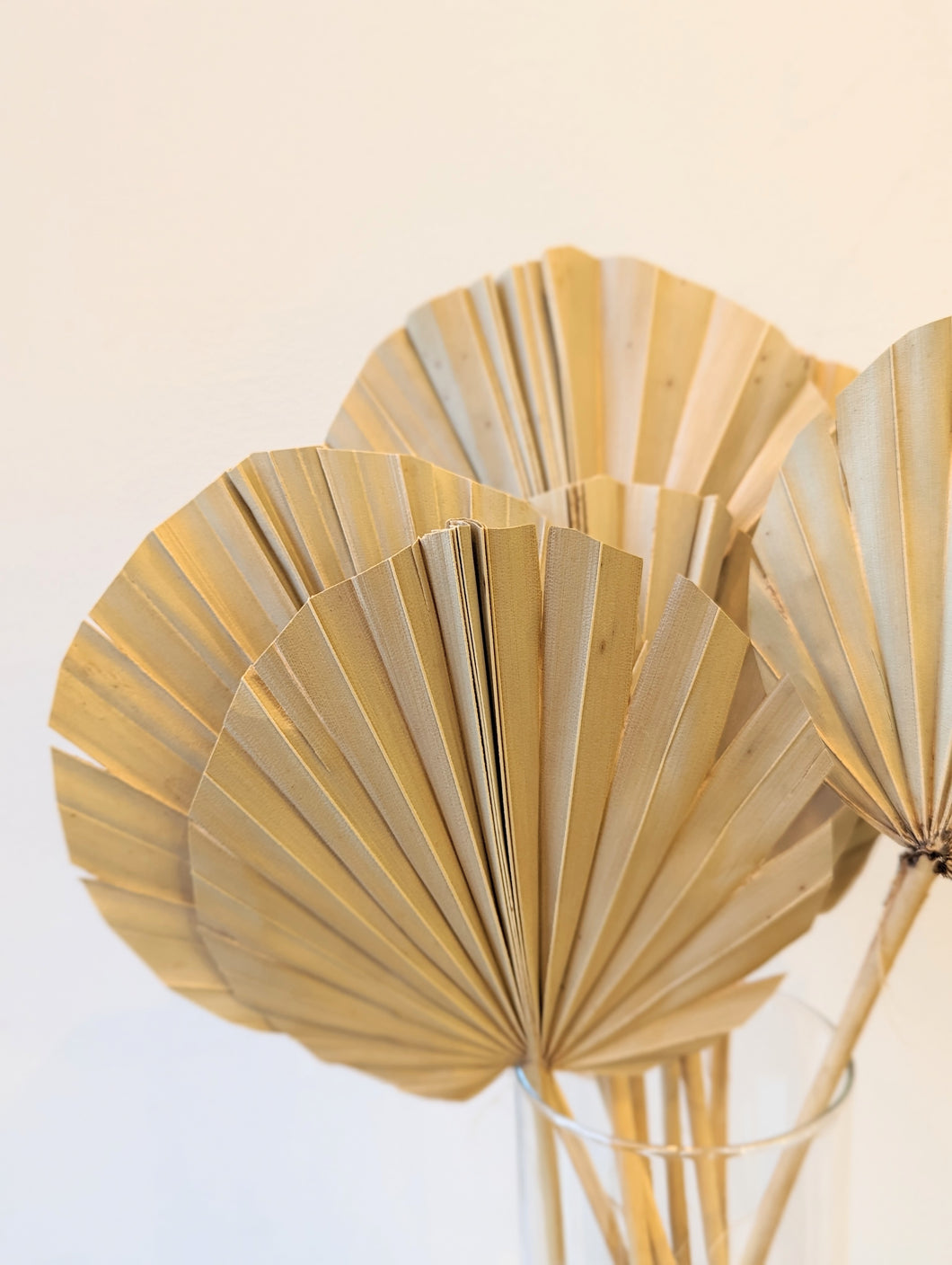 Natural Dried Rounded Palm Leaf Spear