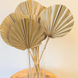 Natural Dried Rounded Palm Leaf Spear