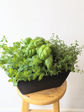 Load image into Gallery viewer, Mixed Herb Planters (Italian Mix)