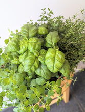 Load image into Gallery viewer, Mixed Herb Planters (Italian Mix)