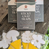 Sticky Gnat Traps - Packer Plant Co.