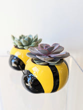 Load image into Gallery viewer, Bumblebee Succulent Planter