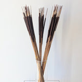 Brown Cattail Reed Bunch