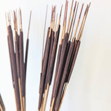 Brown Cattail Reed Bunch