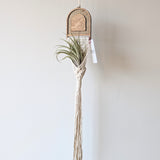 Rattan Air Plant Holder