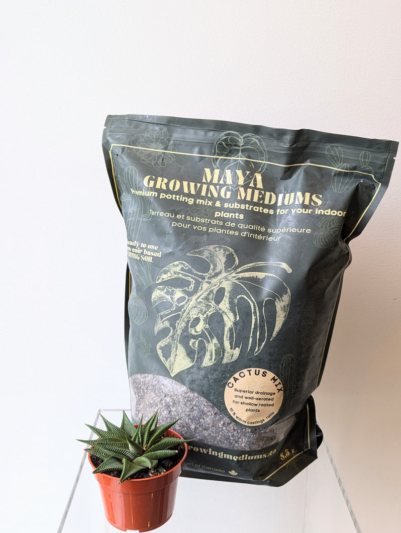 Cactus Blend Potting Soil - Maya Growing Mediums