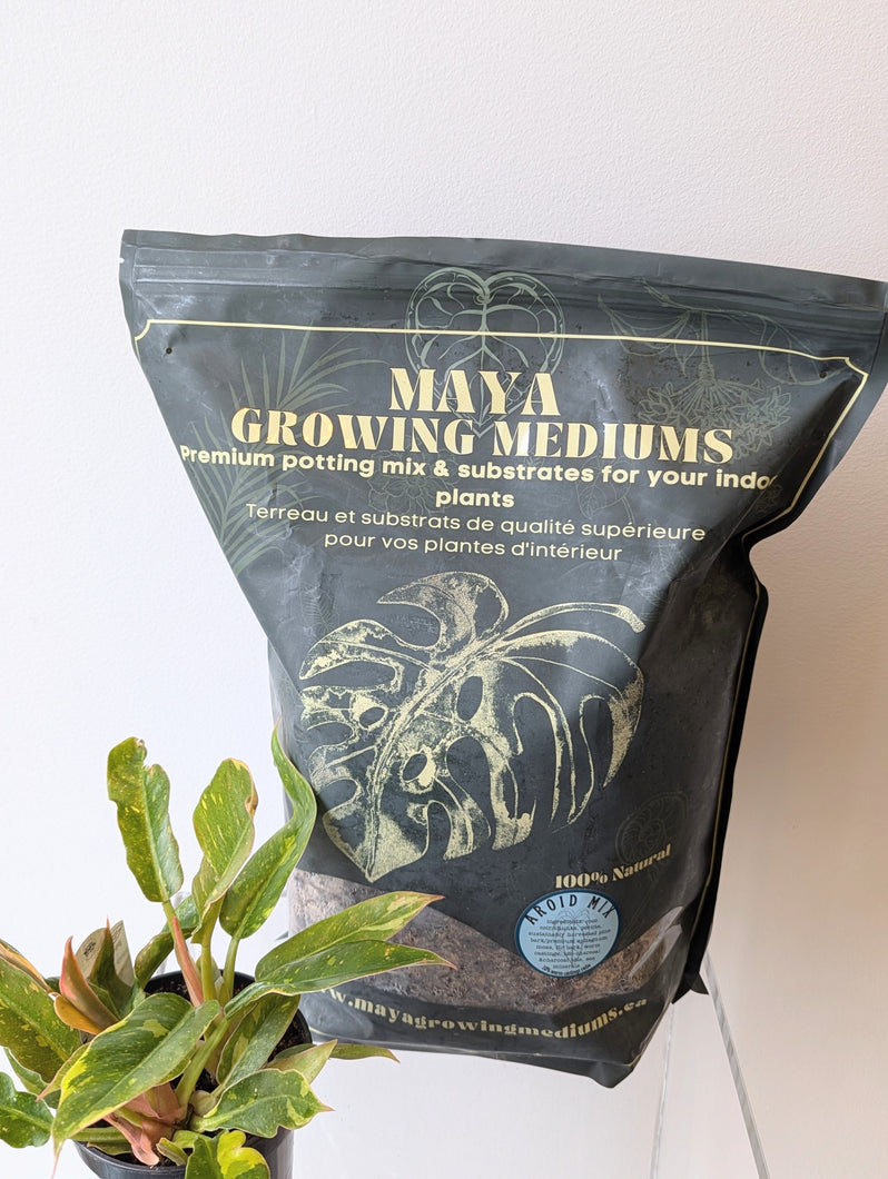 Aroid Potting Mix - Maya Growing Mediums