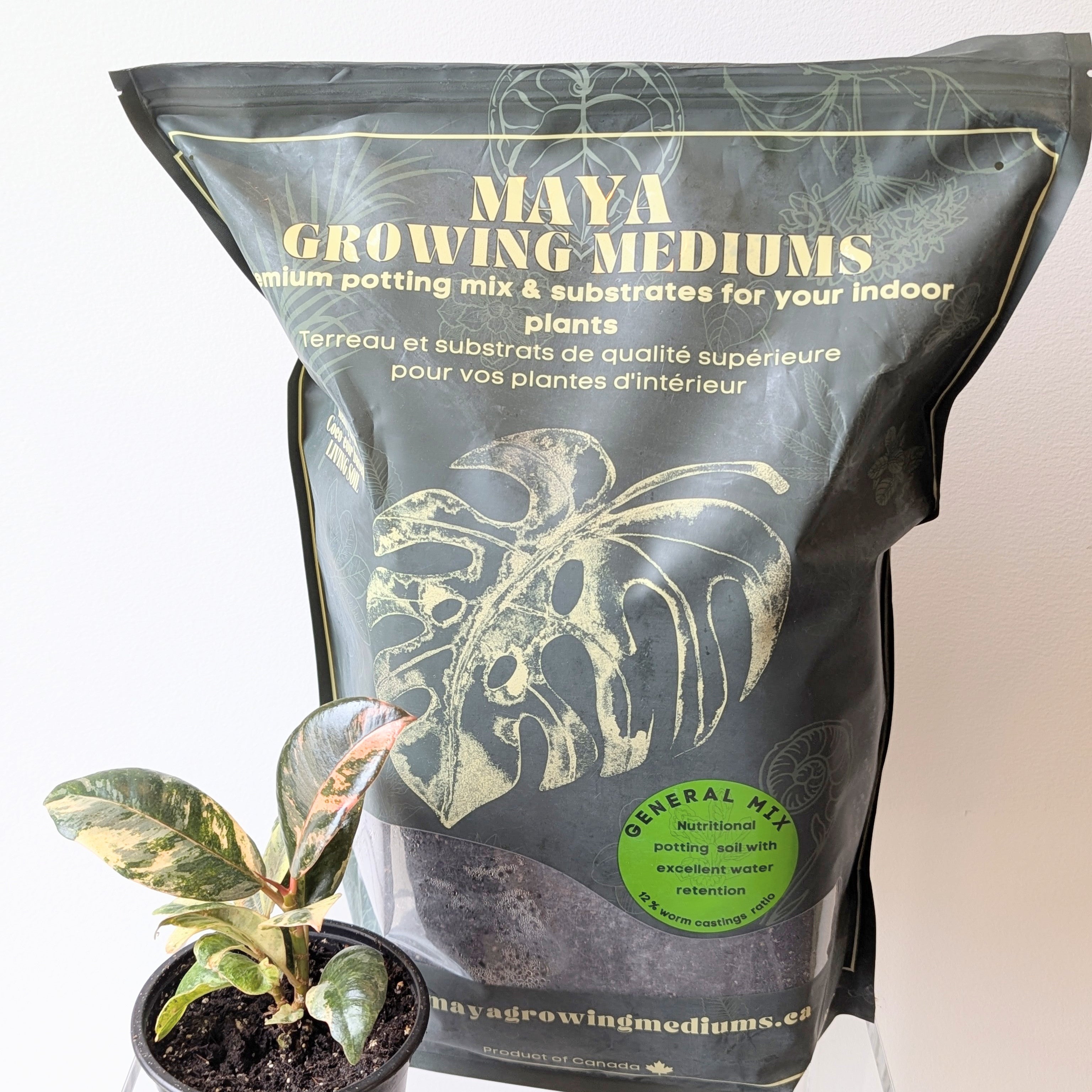 general potting mix General Potting Mix