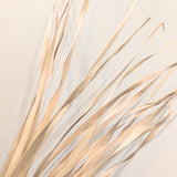 Dried Wild Sun Palm Bunches