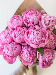Peony Bouquet Subscription