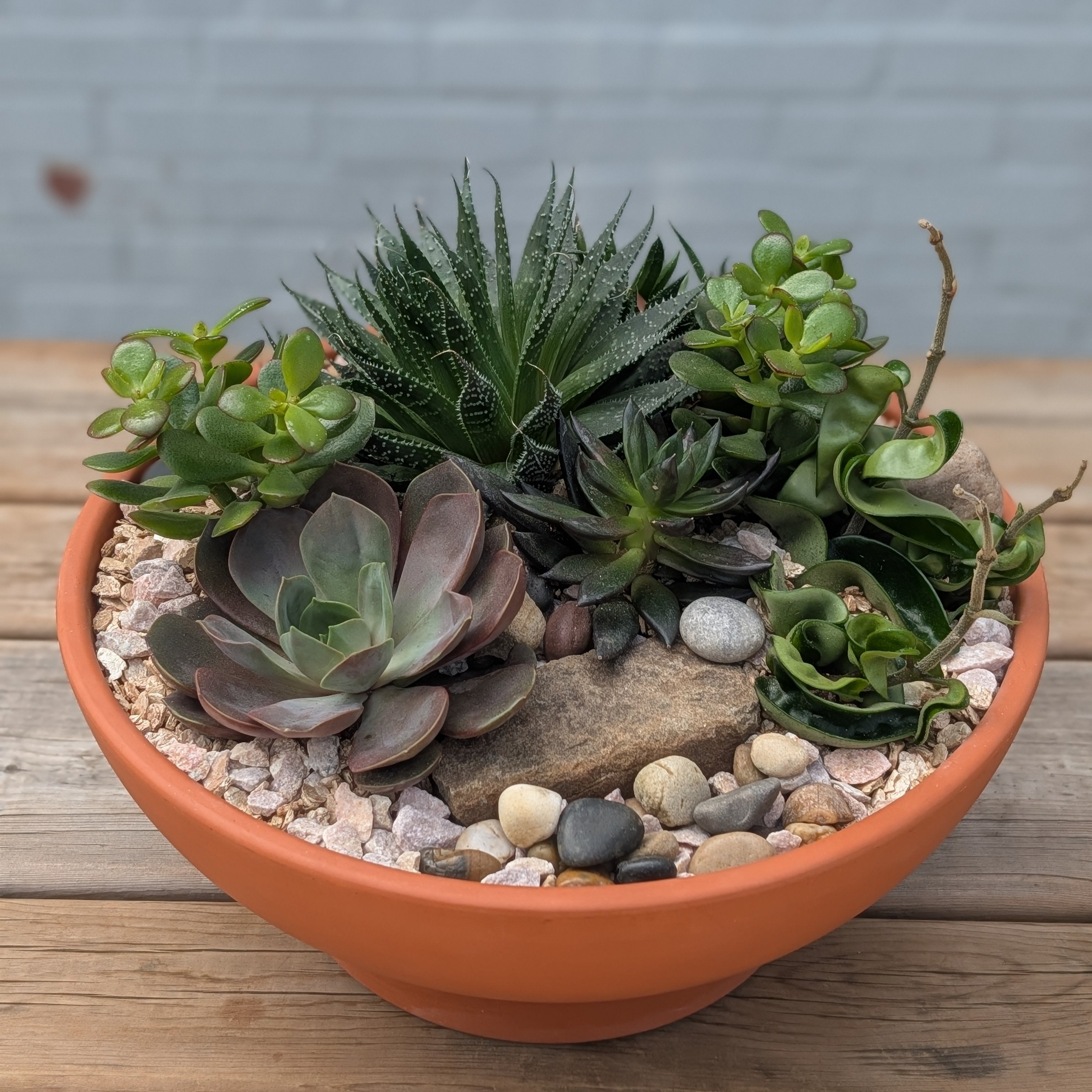 walawala succulent studio Bespoke Succulent Planter – TwinFlower Studio